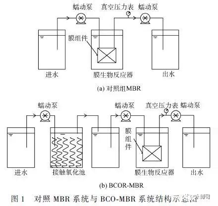 对照MBR系统与BCO-MBR系统结构示意图
