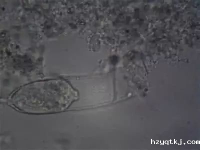 1d065337b3deb5867ca8e669550a1346.jpg